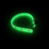 Collier fluorescent pour chat
