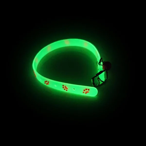 Collier fluorescent pour chat