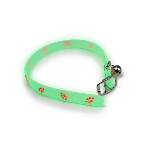 Collier fluorescent pour chat