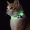 Collier fluorescent pour chat