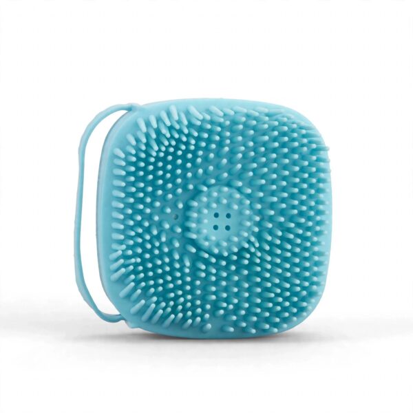 Brosse nettoyante