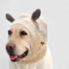 Bonnet d'hiver pour chien