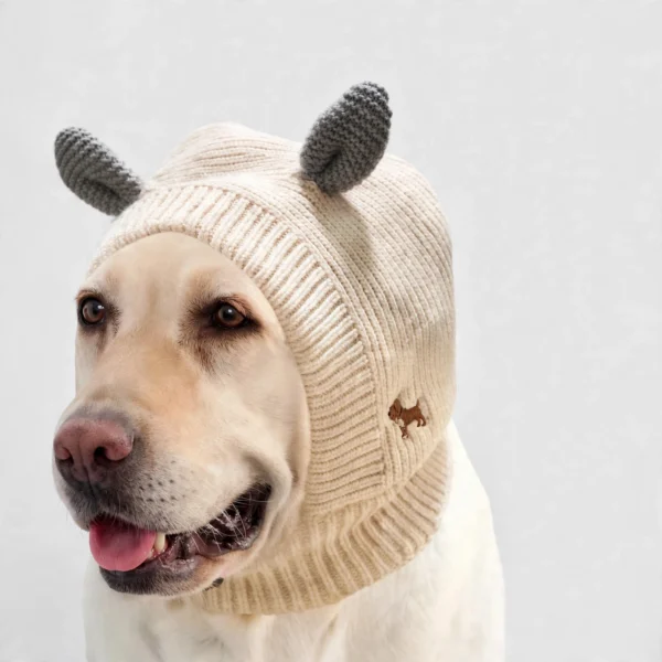 Bonnet d'hiver pour chien