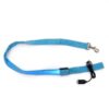 Laisse lumineuse bleue