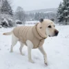 Bonnet d'hiver pour chien