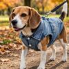 Veste en jean pour chien